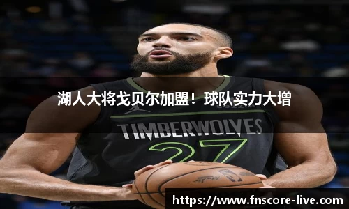 湖人大将戈贝尔加盟！球队实力大增